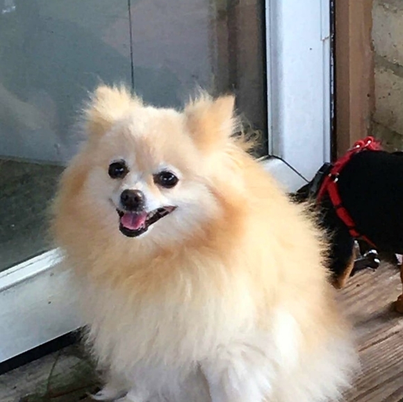 My ❤️💔 - Picture 5 of 6